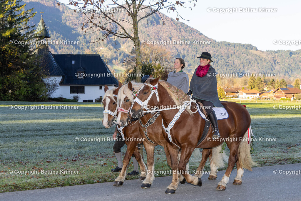 LL24-110 | foto-bettina-krinner - Realisiert mit Pictrs.com