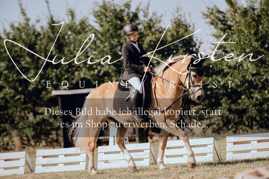 DSC_7041 | Pferde- und Turnierfotografie in Westsachsen. Pferdeportraits, Auftragszeichnungen und intuitive Kunst.