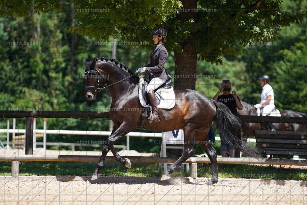 20240705-FAH03656 | Turnierbilder von Grafing, Reitsportbilder, Turnierfotos, Turnierfotografen Bayern, Pferdefotograf, Fotoagentur Herrmann