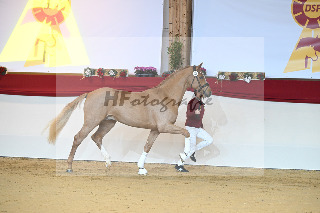 Kat-Nr. 37 Zinedream_Holtwiesche u Schulze-Averdiek_1231262 | hf-fotografie - Realisiert mit Pictrs.com