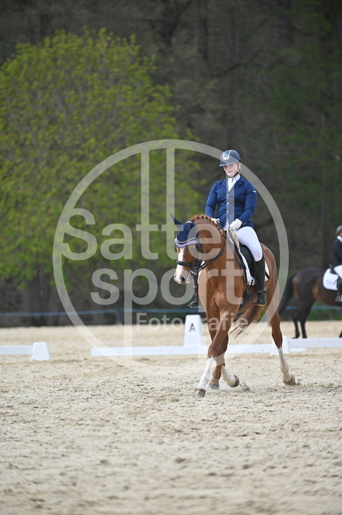 DSC_5034 | sattelsport - Realisiert mit Pictrs.com