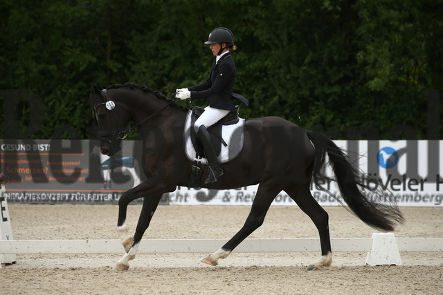 Weilheim_2022_4-jährige_Reitpferde_Aileen Kemmerer_Farani 6 (11) | Alle Fotos der Reiterjournal Fotografin Doris Matthaes im Reiterjournal Online-Fotoshop. - Realisiert mit Pictrs.com
