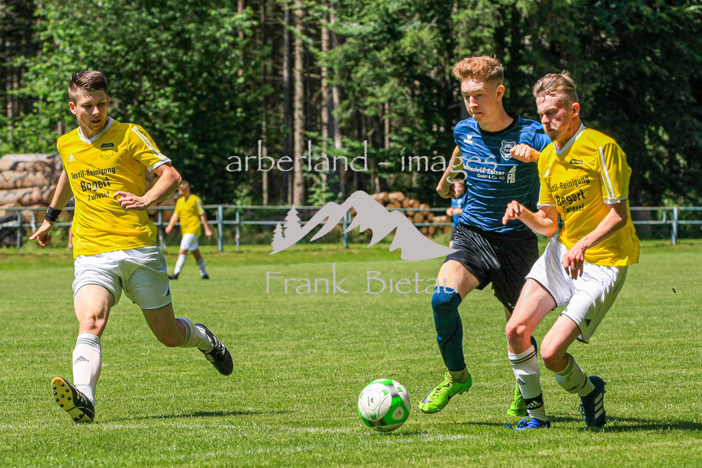 993T1782 | SpVgg Zwieselau (gelb) - TSV Bodenmais,