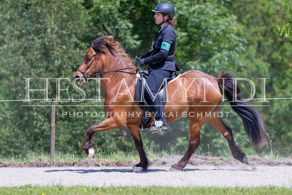 KAI03783 | Ihr sucht einen Fotografen für eure nächste OSI? Ich begleite auch euer Turnier für Islandpferde fotografisch.  - Realisiert mit Pictrs.com