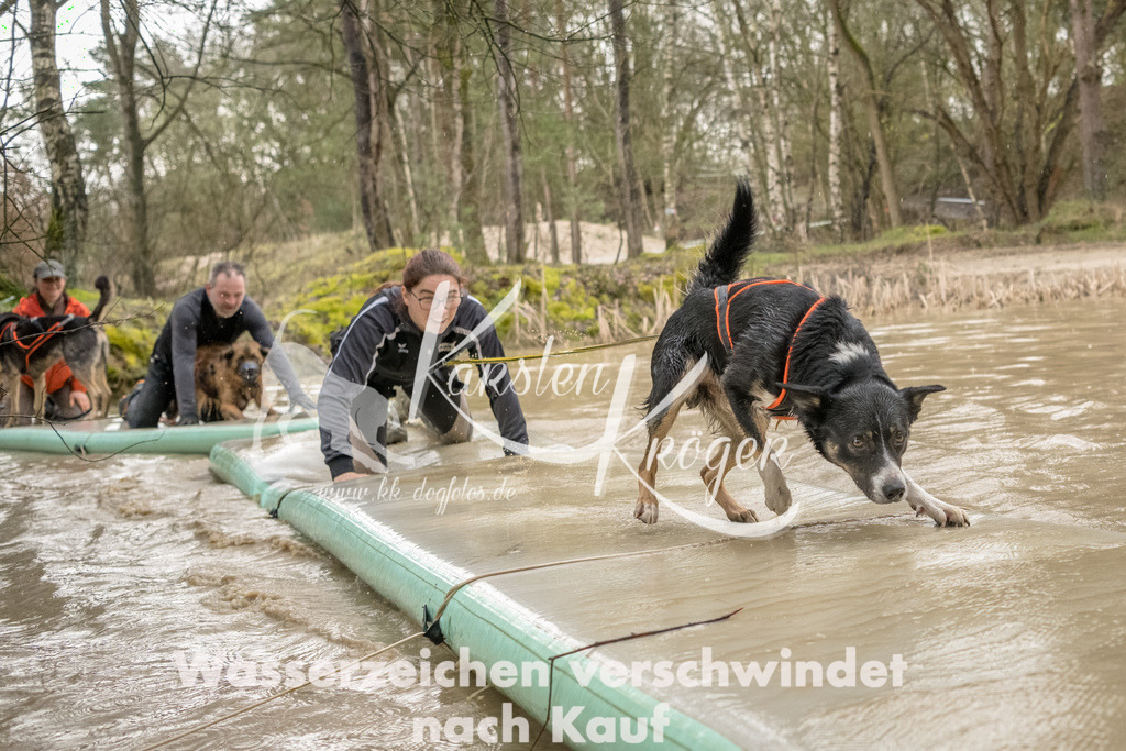 1337_ZZ90194-Bearbeitet | kk-dogfotos