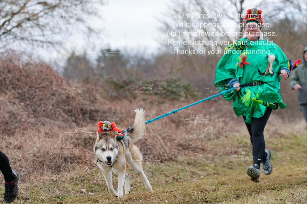 Fasching-42 | stephaniefillaphotographie - Realisiert mit Pictrs.com