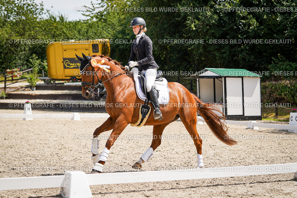 DSC01873 | Pferdegrafie