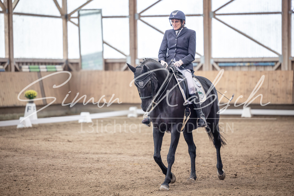 20251011-_3LI1178 | Tierfotografie Pferde, Hunde, Katzen, Haustiere.
Turnierfotografie Reitturniere, Reiten, Springreiten, Dressur in Hanau, dem Main-Kinzig-Kreis und dem Rhein-Main- Gebiet um Frankfurt