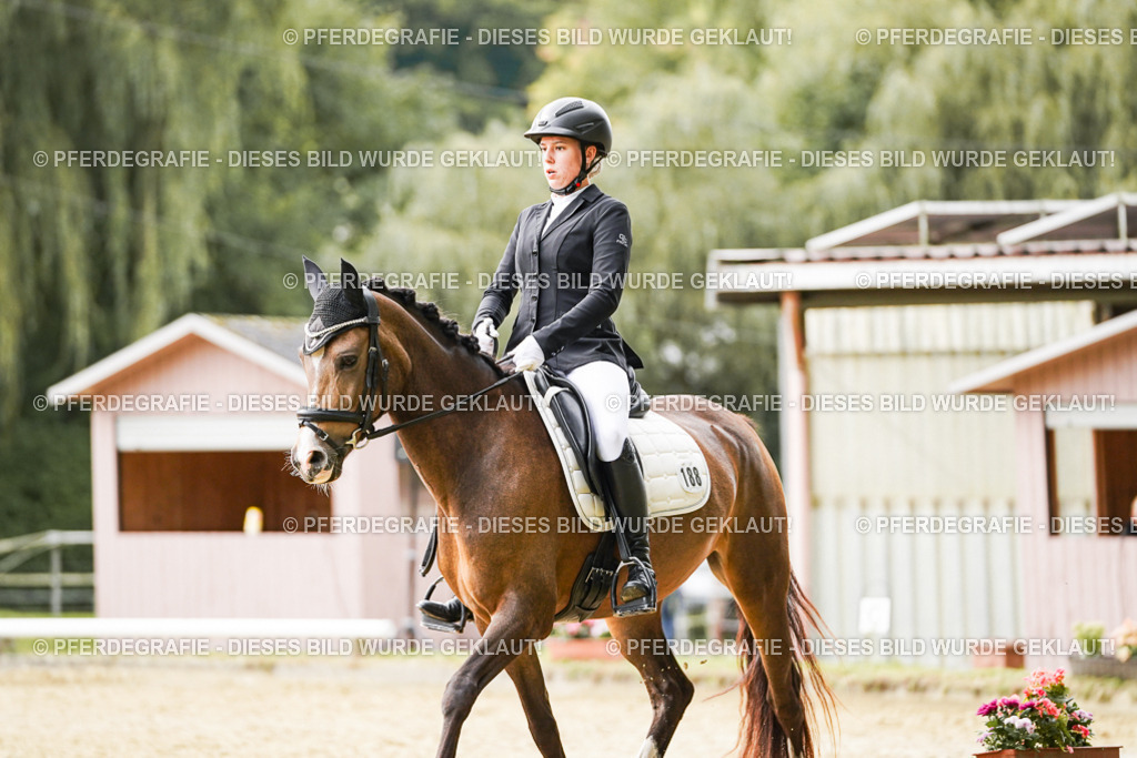 DSC01028 | Pferdegrafie