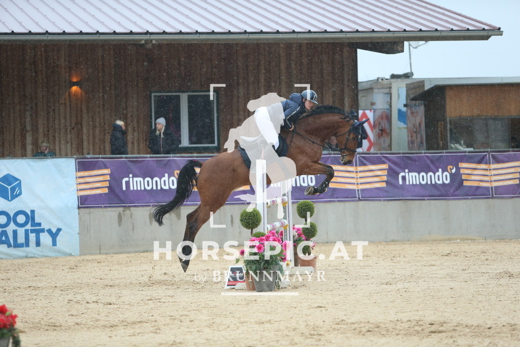 DL2Q7862 | Willkommen bei Brunnmayr - Design & Fotografie – Ihrem Spezialisten für Reitturniere und Pferdeveranstaltungen in Oberösterreich, Salzburg und Bayern! Seit über 17 Jahren sind wir leidenschaftlich dabei.