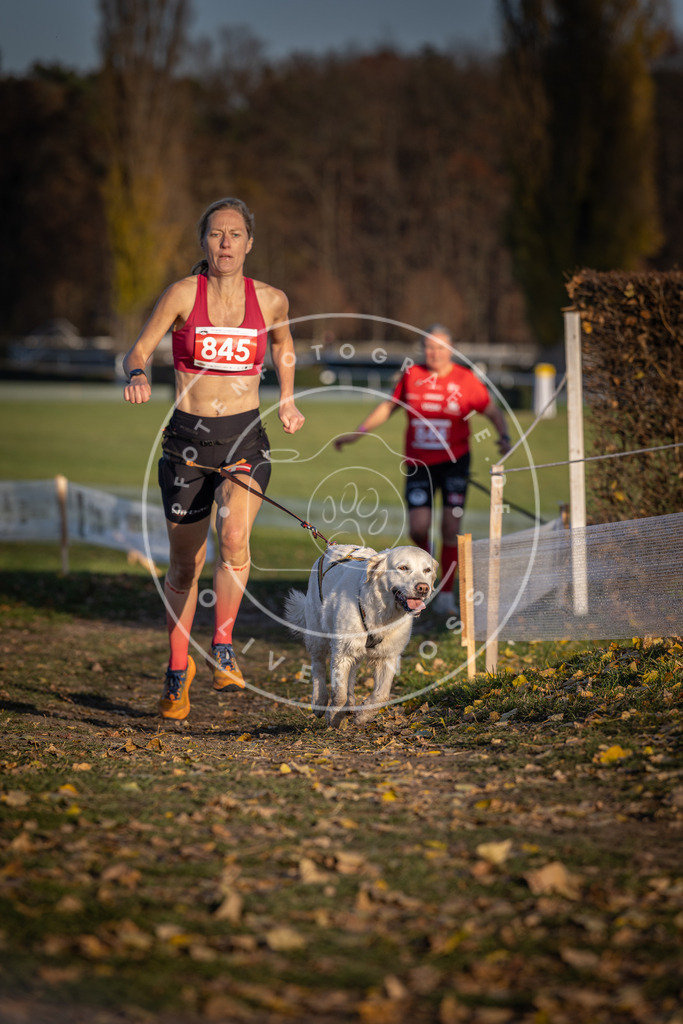 CaniXpix_DV3A3741 | Hundefotografie, Tierfotograf, Pfotenfotografie, Fotoshooting Hund, Hunde Portrait, Hundesport, Hundeportraits, Heideshooting, Hunde, Sportfotograf, Hundefotograf, Turnierhundsport, THS,  - Realisiert mit Pictrs.com