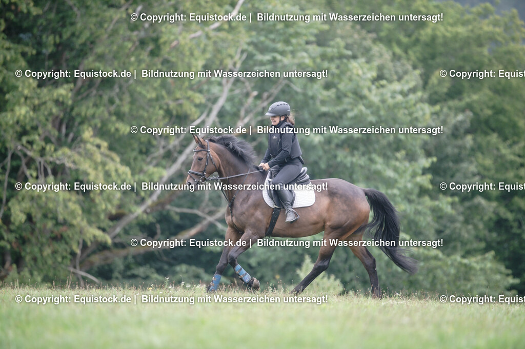 20250726_Vielseitigkeitslehrgang-Marbach_0332 | Foto: Thomas Hartig