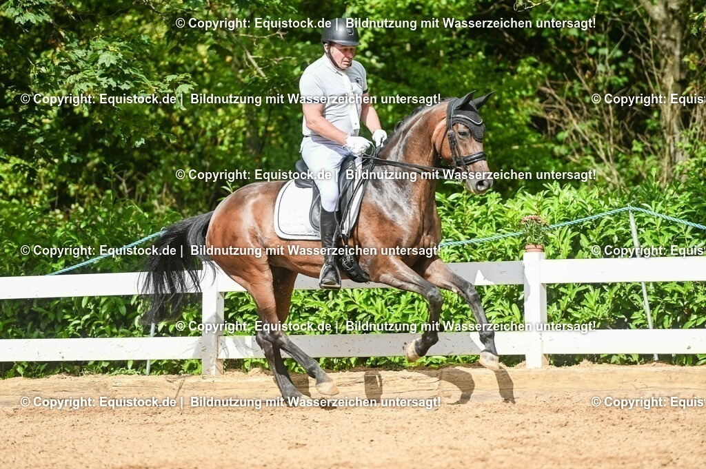 20230716_01_Dressurprüfung Kl.M_0566 | equistock