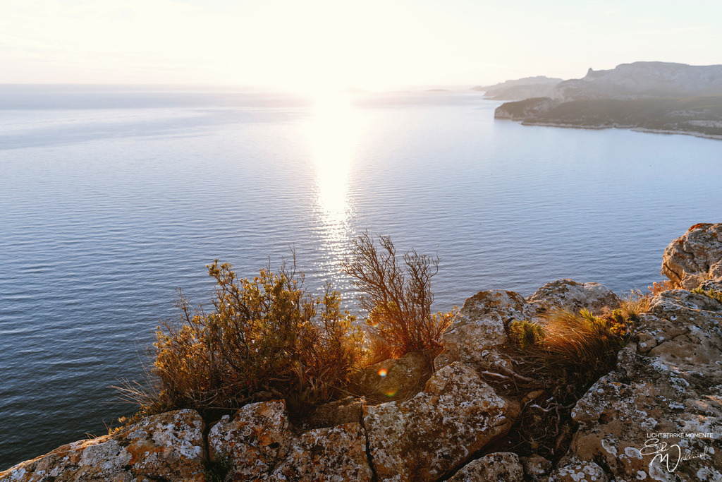 D141 Corniche ou Route des Crêtes, les calanques | Herzlich willkommen auf meiner Seite! Ich bin Elke Wallnisch, Deine Fotografin für lichtstarke Momente. Der Name steht für alles, was mich mit der Fotografie verbindet: Das Licht und seine machtvolle Wirkung auf eine Situation oder unsere Stimmung - Realisiert mit Pictrs.com