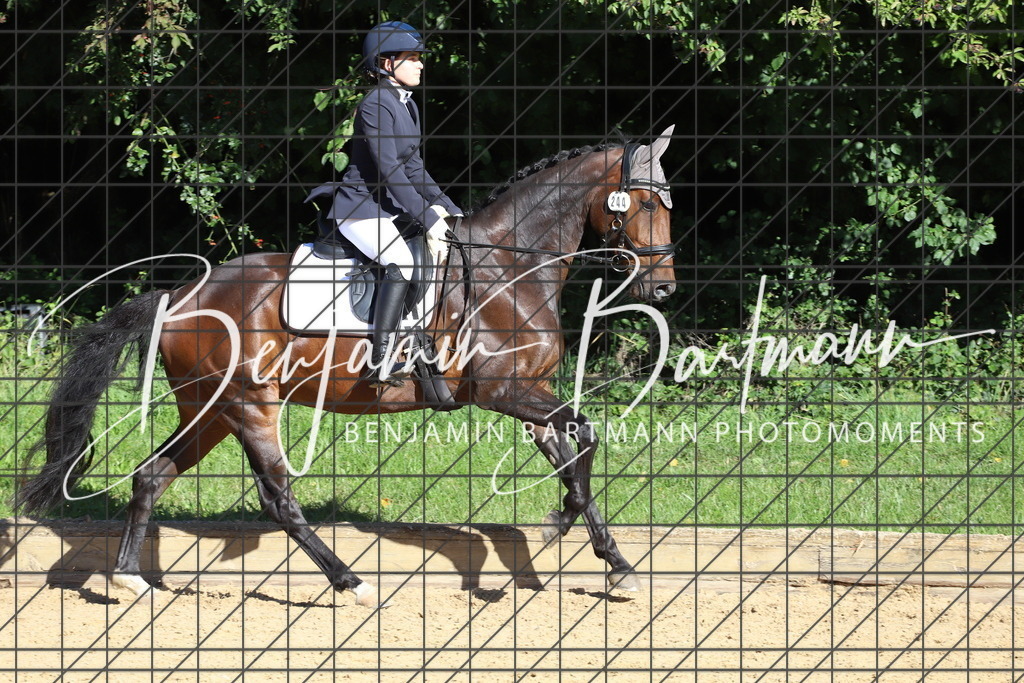 IMG_5167 | Benjamin Bartmann Photomoments