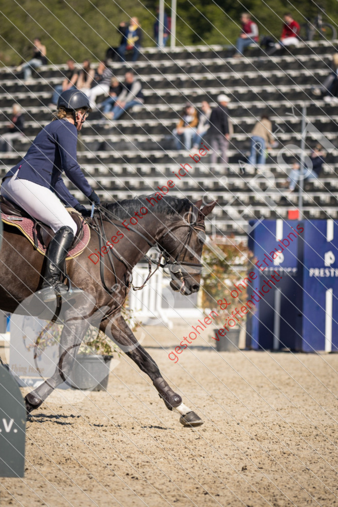 IMG_3752 | Sport-, Event- und Tierfotos in Profiqualität. Einfach auswählen, bestellen und herunterladen. Dein Moment – perfekt festgehalten.