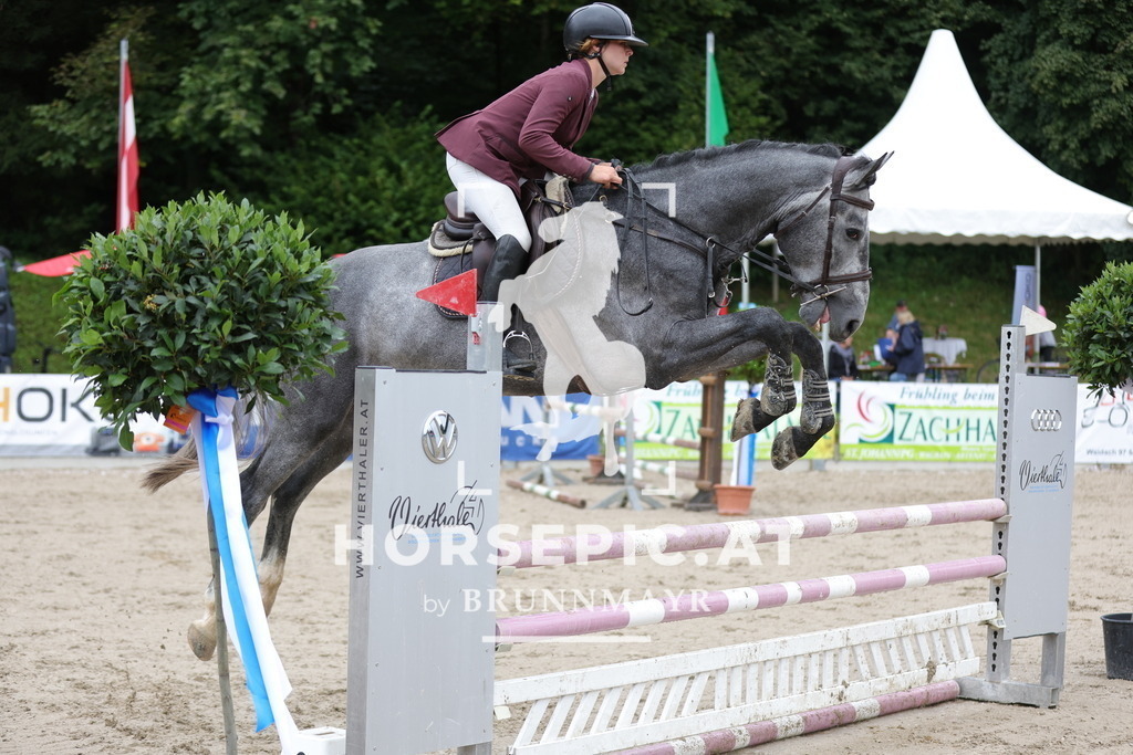 0P6A2056 | Willkommen bei Brunnmayr - Design & Fotografie – Ihrem Spezialisten für Reitturniere und Pferdeveranstaltungen in Oberösterreich, Salzburg und Bayern! Seit über 17 Jahren sind wir leidenschaftlich dabei.