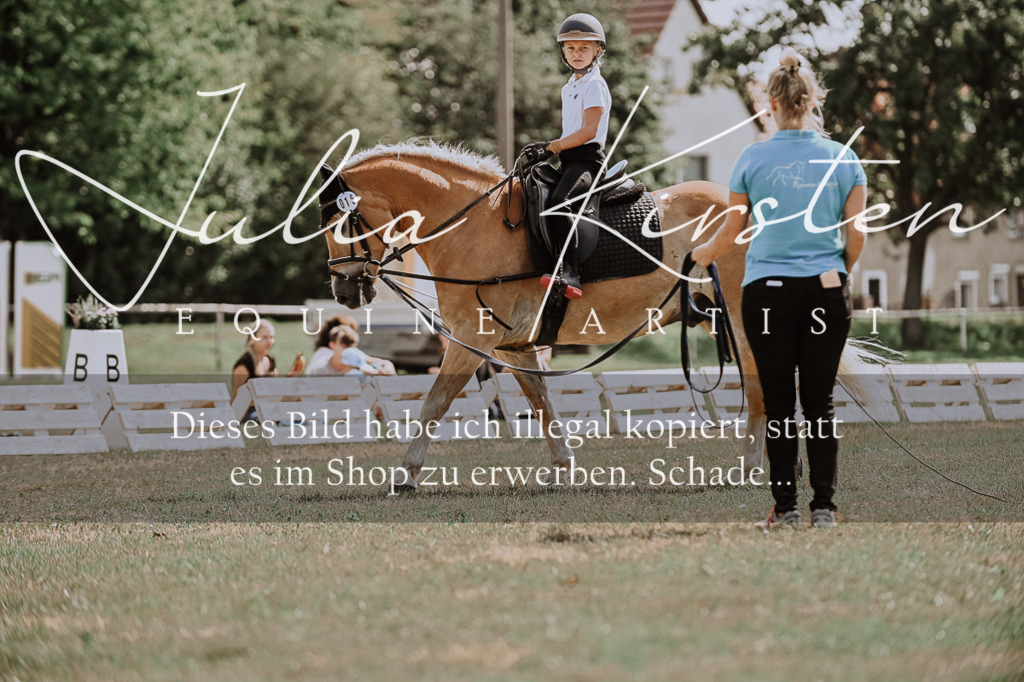 DSC_7735 | Pferde- und Turnierfotografie in Westsachsen. Pferdeportraits, Auftragszeichnungen und intuitive Kunst.