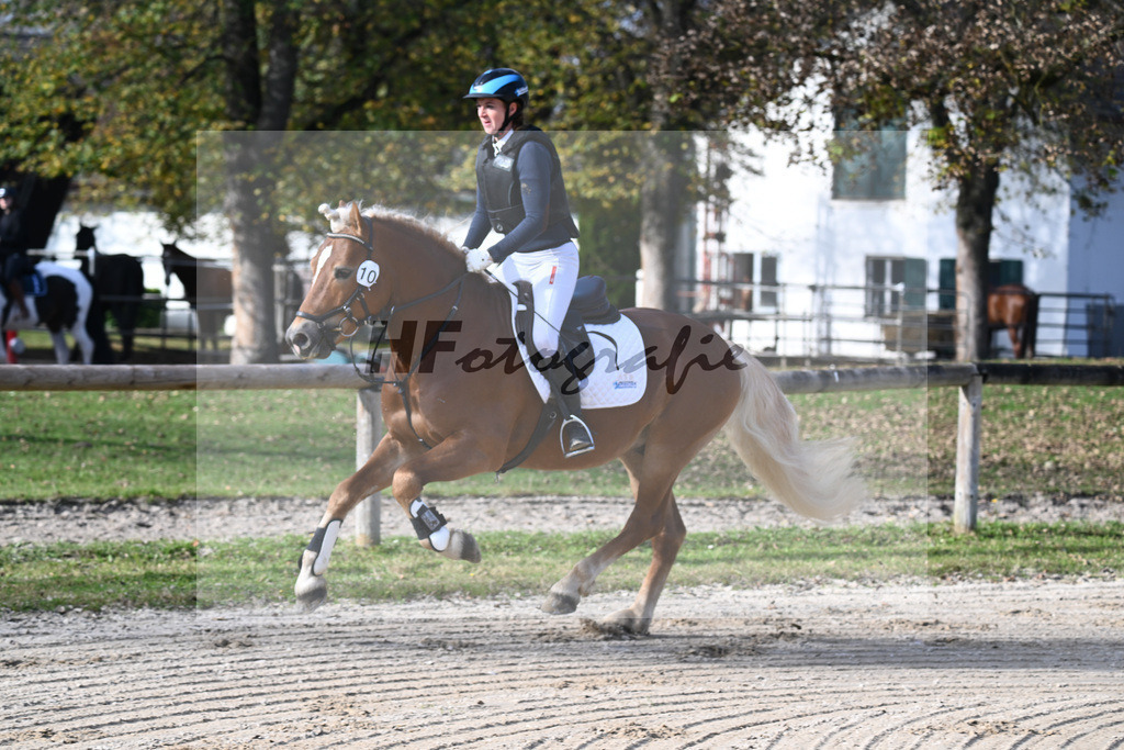 Kat-Nr. 10 Napoleon Bonaparte_Blum_44240658 | hf-fotografie - Realisiert mit Pictrs.com