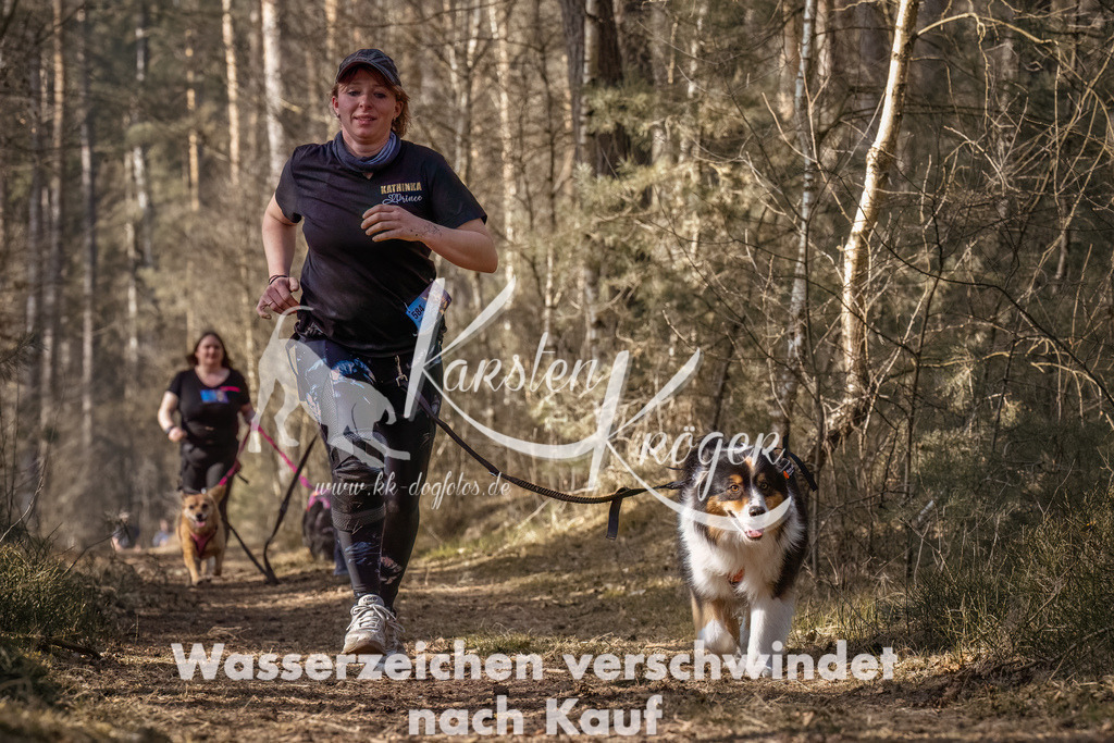 1315_ZZ94453-Bearbeitet | kk-dogfotos