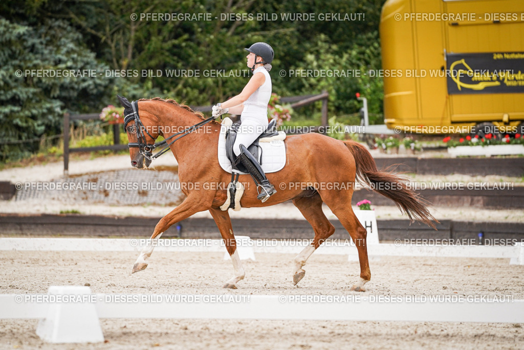 DSC08570 | Pferdegrafie