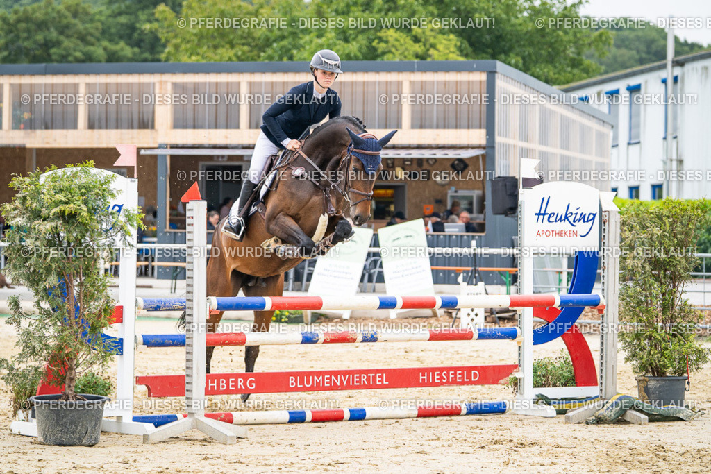 DSC00083 | Pferdegrafie