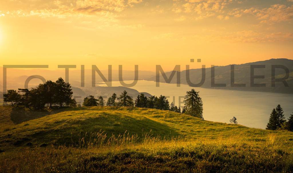 _DSC7082 | Tinu Müller Fotografie- Bildershop - Realisiert mit Pictrs.com