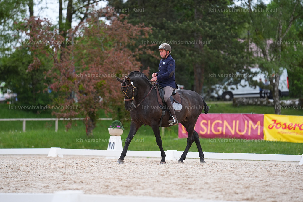 PI26_DR_255_StoibphotographySIN09742.jpg | working equitationturnier fotograf videograf stoibphotography marixx film working equitation deutschland reitsport turnierfotografie eventfotografie equestrian events