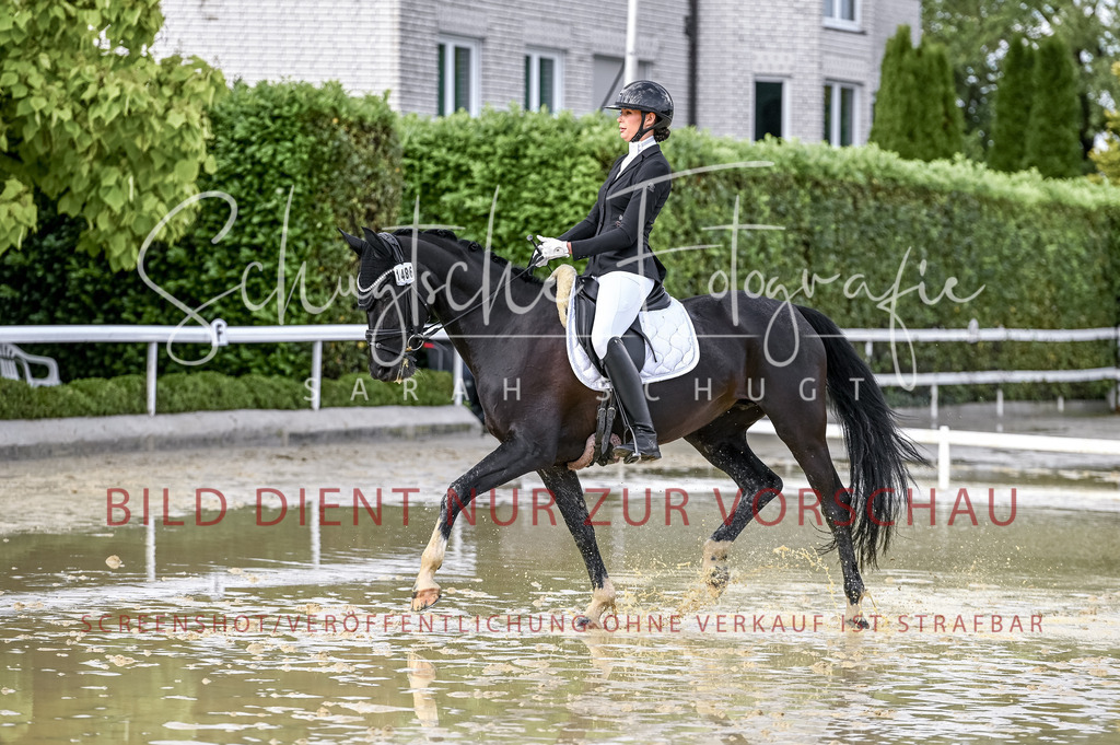 Schugtsche-Aluta25-54.Dressurprf.L1Trense-187 | Schugtsche Fotografie - Realizzato con Pictrs.com
