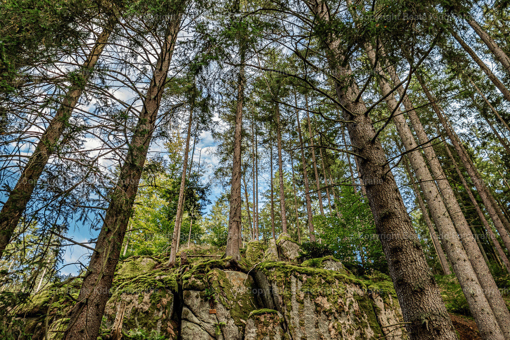 P1200320 | beatekidd-fotografie - Realisiert mit Pictrs.com