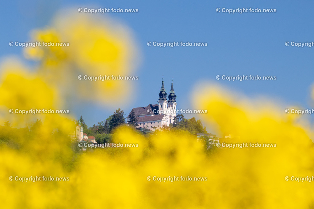 Poestlingbergkirche_ Wallfahrtsbasilika_ 05.05.2025-5 | 05.05.2025, LINZ, AUT, Themenbild, im Bild Pöstlingberg, Poestlingberg, Kirche, Berg, Fruehling, Himmel, Turm, Tuerme, Ausflugsziel, Poestlingbergkirche, Wallfahrtsbasilika, Wahrzeichen, Linz, Raps, Rapsfeld, Gelb, leuchtend, Pflanzen, Feature, Symbolbild