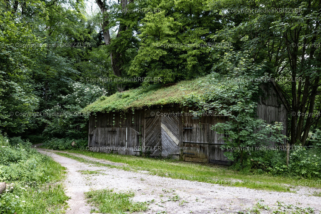 _J3A1230 | medienkrizzler - Realisiert mit Pictrs.com