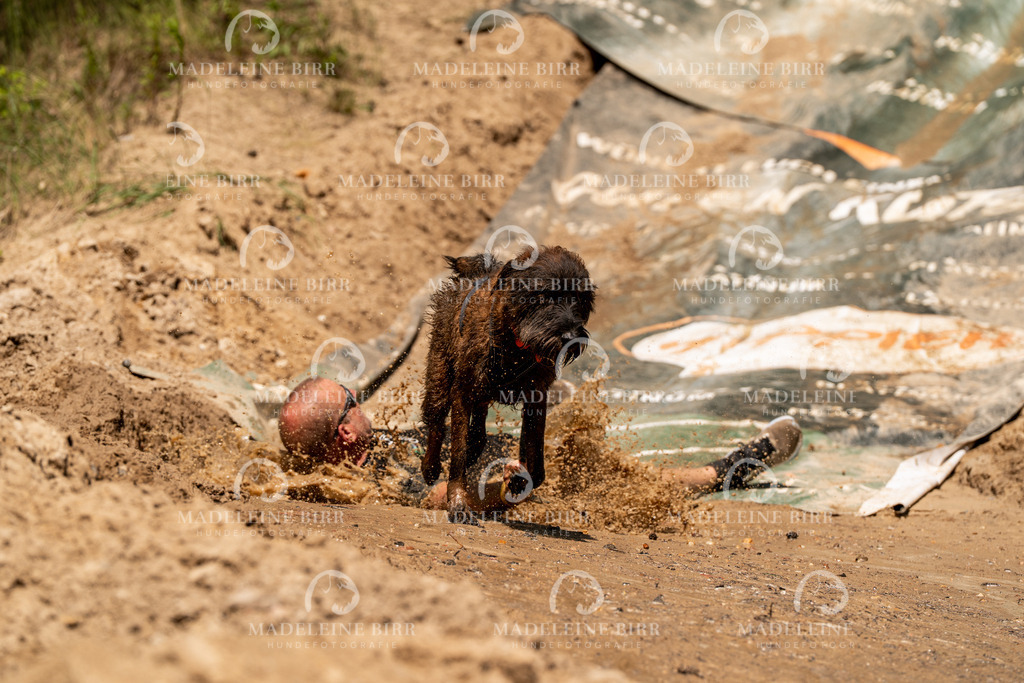 madeleinebirr.fotografie.2026.CC-hoope.14-13-45.2018 | hundefotografie-birr