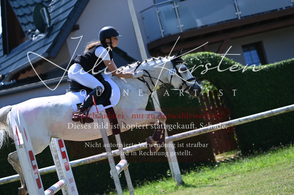 DSC_0858 | Pferde- und Turnierfotografie in Westsachsen. Pferdeportraits, Auftragszeichnungen und intuitive Kunst.