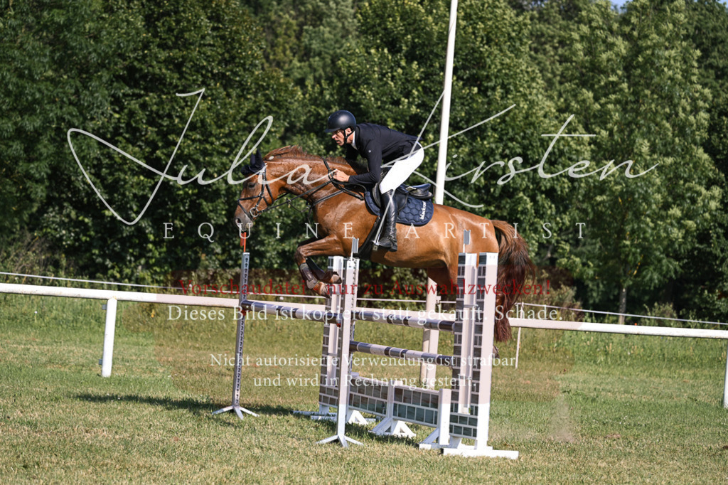 DSC_1480 | Pferde- und Turnierfotografie in Westsachsen. Pferdeportraits, Auftragszeichnungen und intuitive Kunst.