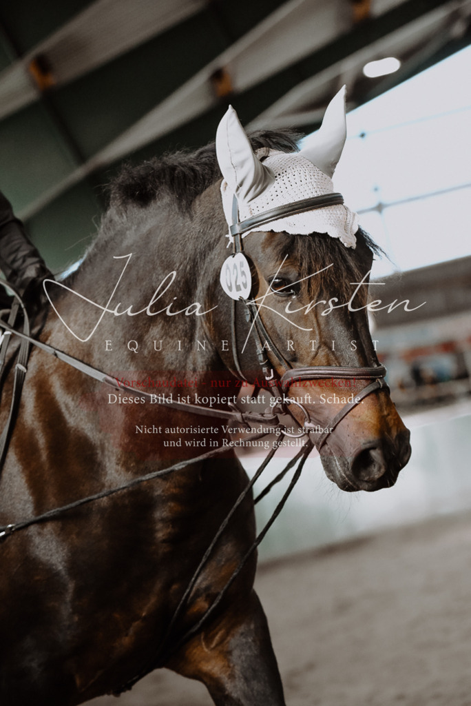 DSC_7549 | Pferde- und Turnierfotografie in Westsachsen. Pferdeportraits, Auftragszeichnungen und intuitive Kunst.