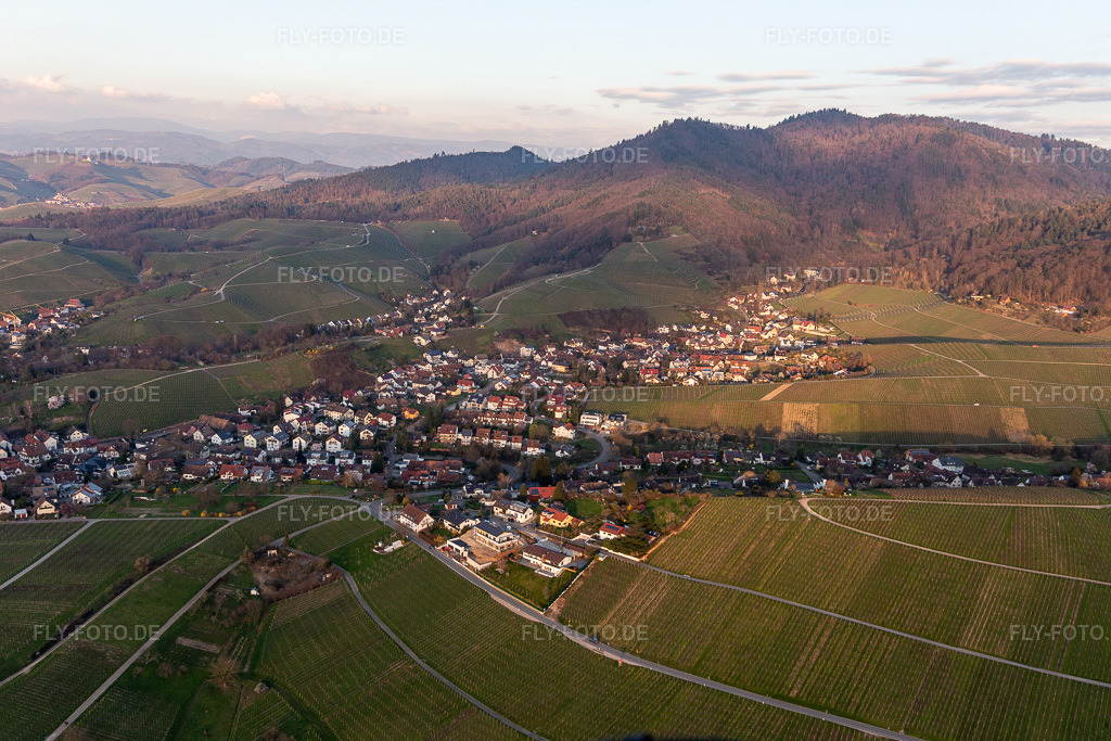 Luftbild: Weinbergen und Winzer- Gütern in Fessenbach im Ortsteil Zell in Offenburg im Bundesland Baden-Württemberg in Deutschland. Foto: IMG_120418.jpg vom 17.03.2020 durch Werner Riehm/FLY-FOTO.de