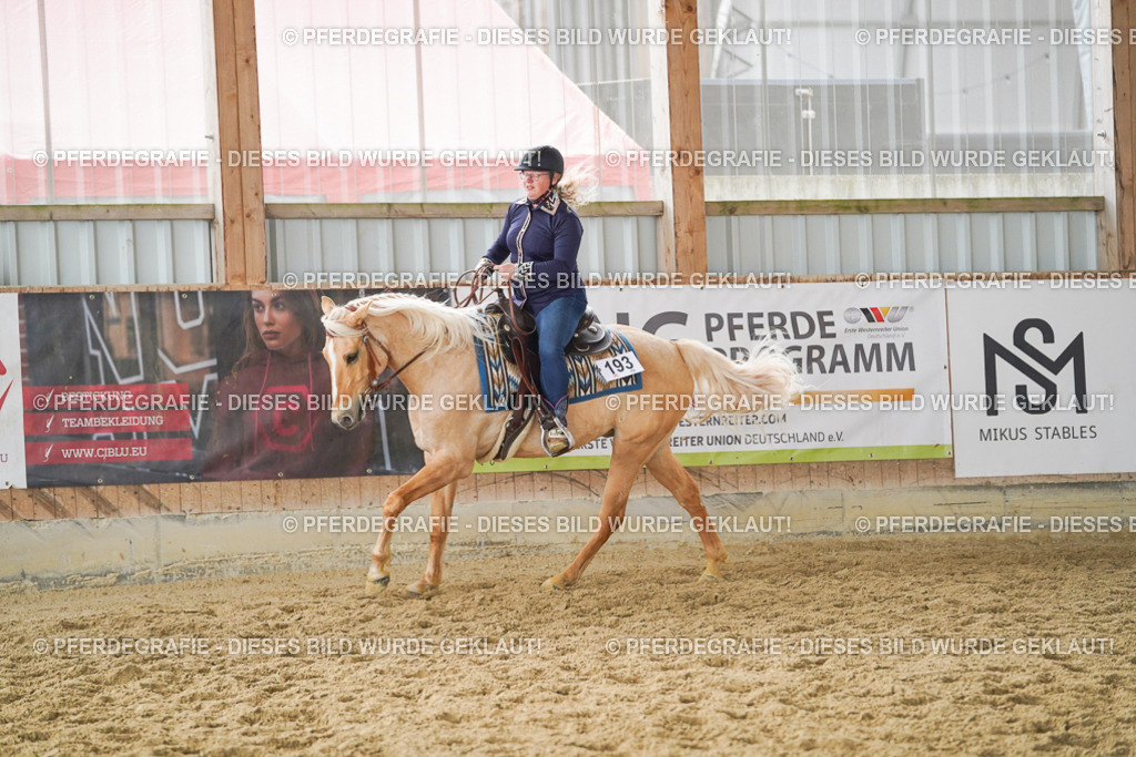 DSC06422 | Pferdegrafie