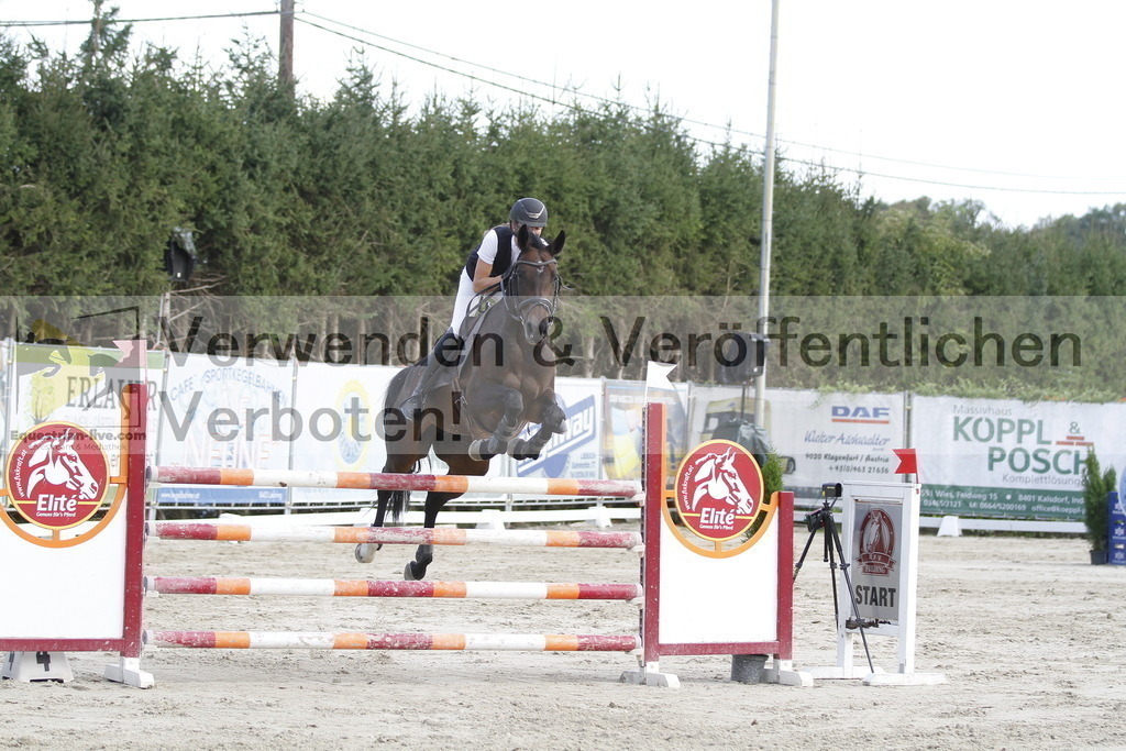 _MG_6176 | equestrian-live-com