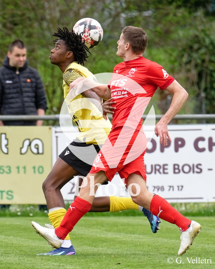 DSC_6771 | Velletri Photo