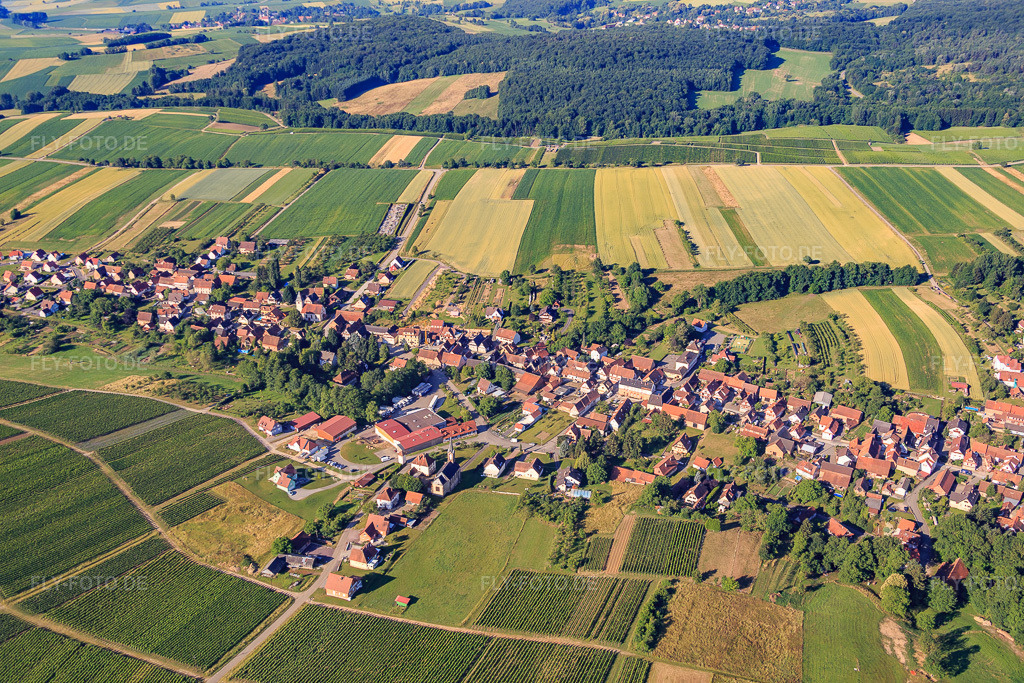 Luftbild: Ortsansicht aus Norden in Cleebourg im Bundesland Bas-Rhin in Frankreich. – Foto: IMG_082985.jpg vom 26.06.2015 durch Werner Riehm/FLY-FOTO.de – Auflösung des Originals: 5472 x 3648 px