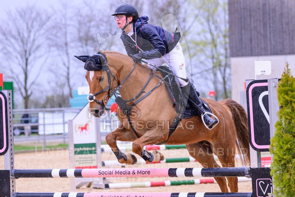 10042026-Mammendorf-Prfg13-0233 | Fokus Hufschlag Fotografie - Realisiert mit Pictrs.com