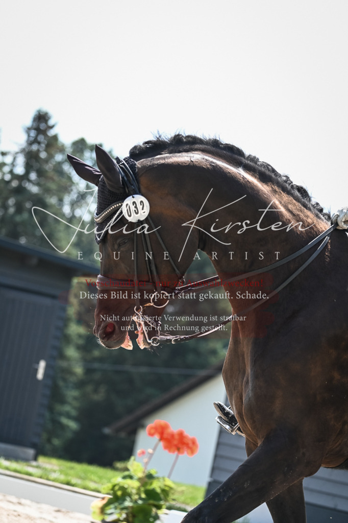 DSC_2367 | Pferde- und Turnierfotografie in Westsachsen. Pferdeportraits, Auftragszeichnungen und intuitive Kunst.
