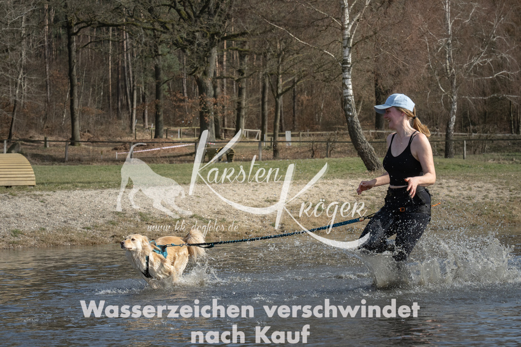 1306_ZZ94676 | kk-dogfotos