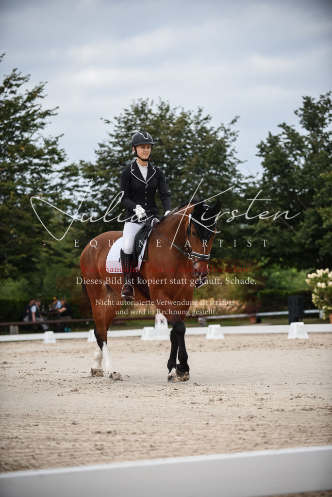 DSC_8244 | Pferde- und Turnierfotografie in Westsachsen. Pferdeportraits, Auftragszeichnungen und intuitive Kunst.