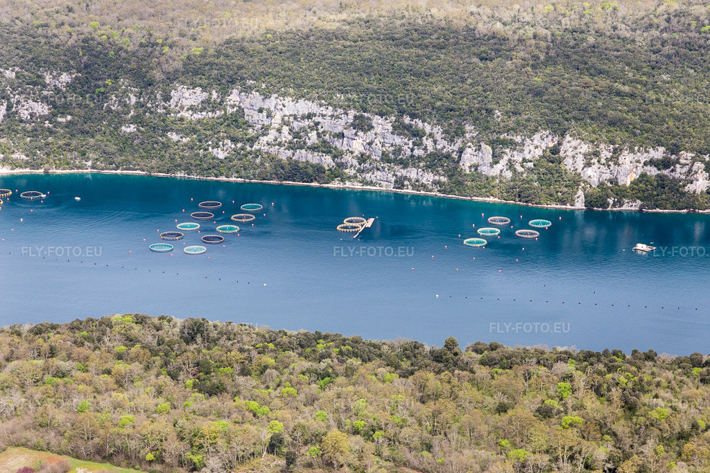 Vue aérienne: Vue de la ville à Matosovici dans le département Gespanschaft Istrien, Croatie. Photo: IMG_106024.jpg prise le 13/04/2018 par Werner Riehm/FLY-FOTO.eu – Résolution de l'original: 5472 x 3648 px
