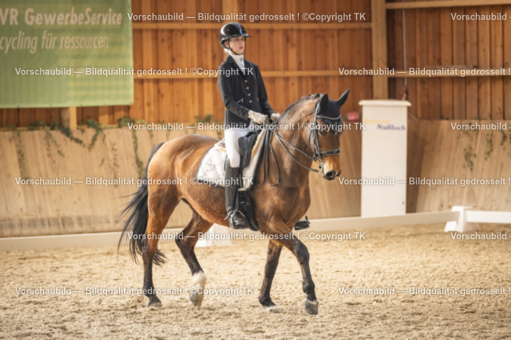 _D5A9599 | Emotionale Pferde- & People-Fotografie rund um Heidelberg, Leimen & Umgebung. Natürliche Fotos von Pferd, Mensch & Familie. Jetzt Termin sichern!