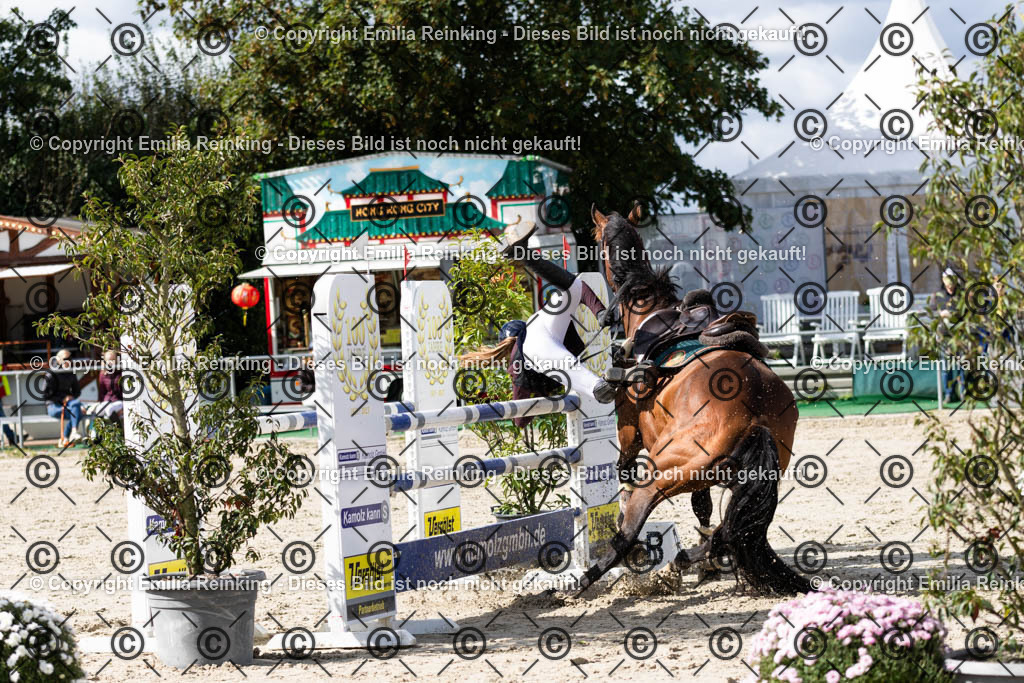 CL5A1500 | Emilia Reinking Fotografie - Realisiert mit Pictrs.com