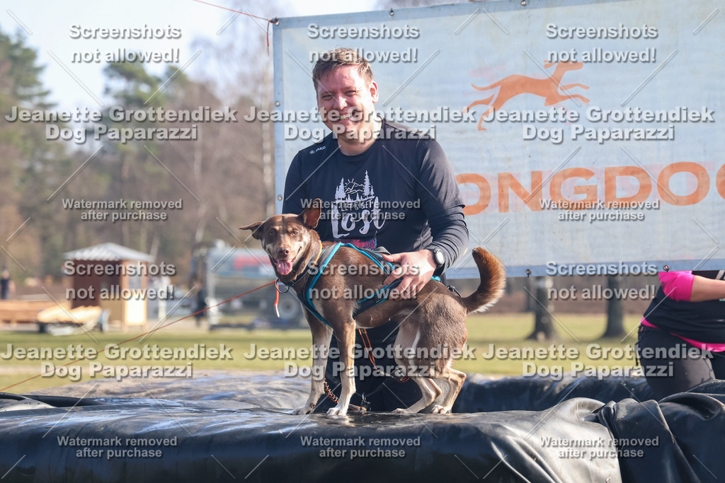 Dog Paparazzi - Strongdog North Mrz26-860 | Dog Paparazzi Jeanette Grottendiek Fotografie & Videografie - Realisiert mit Pictrs.com