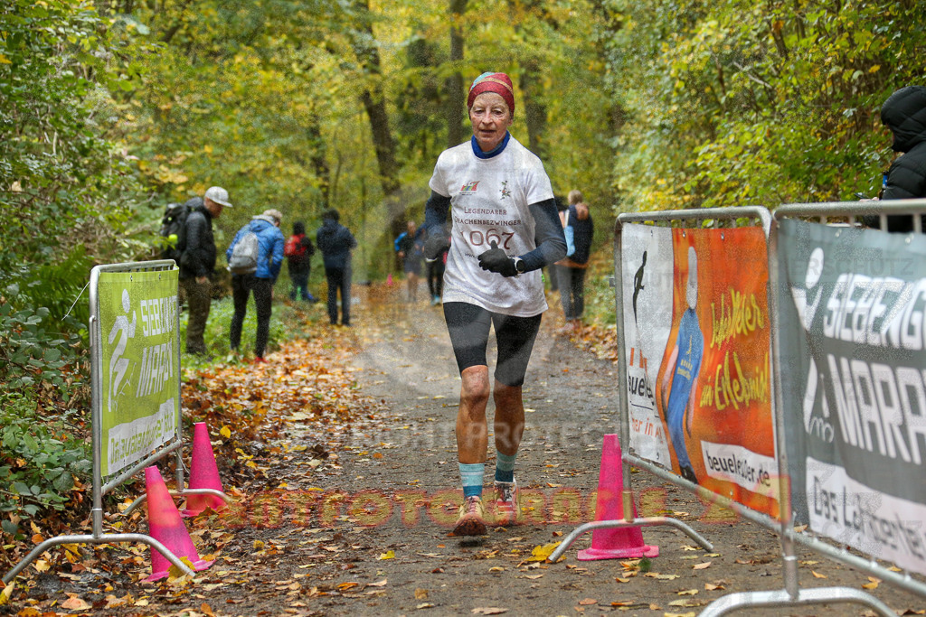 251026_1328_EX1_3523 | Sportfotografie im Rhein-Sieg Kreis, Köln, Bonn, NRW, Rheinland Pfalz, Hessen, etc. Unser Tätigkeitsfeld umfasst den Laufsport vom Volkslauf über den Marathon, Duathlon, Triathon bis zum Ultralauf wie Kölnpfad Ultra oder Schindertrail.